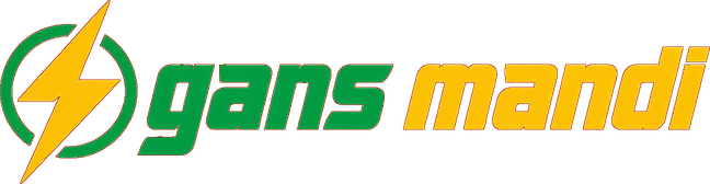 Gans Mandi